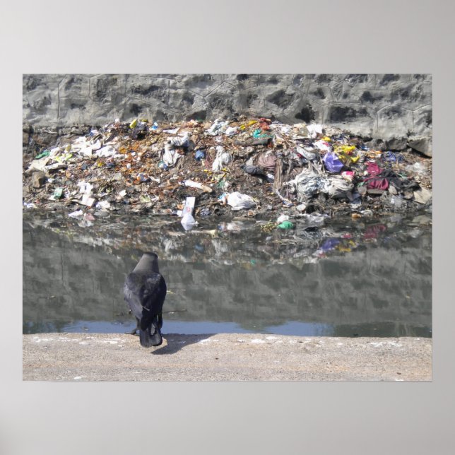 Craw's focus on garbage poster (Front)