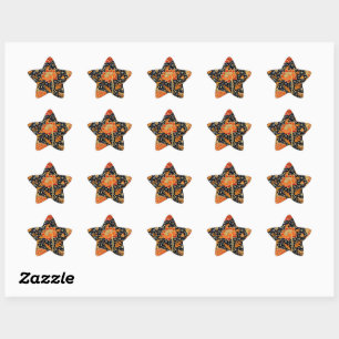 Cray, famous vintage design, star sticker