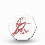 Crayfish Acrylic Award at Zazzle