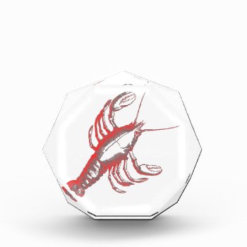 Crayfish Acrylic Award by Dozzle at Zazzle