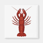 Crayfish Magnet