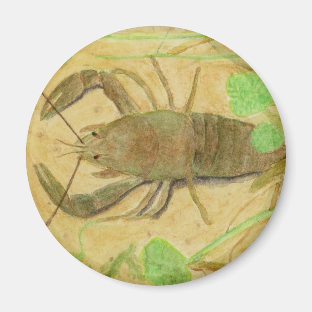 Crayfish Magnet (Front)