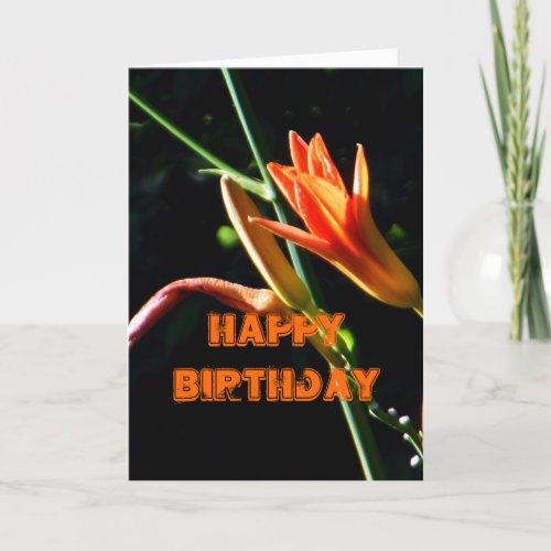 Crayola Daylilies Happy Birthday Card