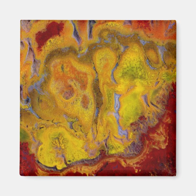 Crayola Jasper Magnet (Front)