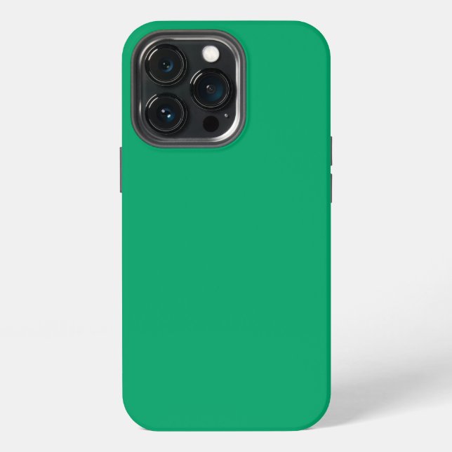 Crayon Color Green iPhone 13 Pro Case (Back)
