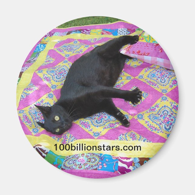 Crazed Quilt Cat Magnet (Front)