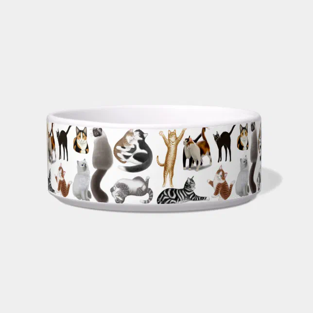 Crazy About Cats Pet Bowl | Zazzle