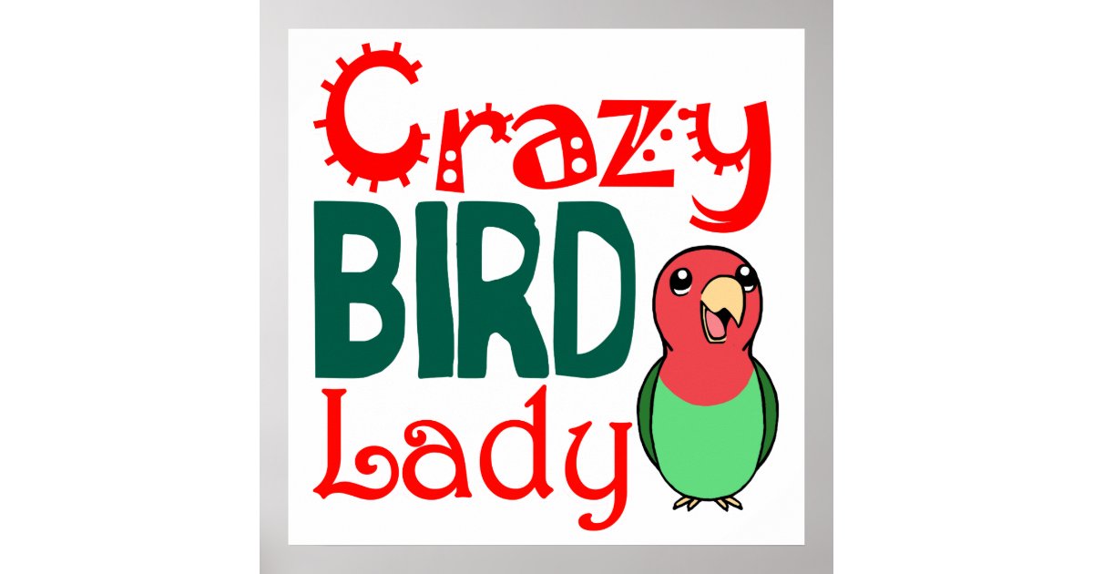 Crazy bird lady poster | Zazzle
