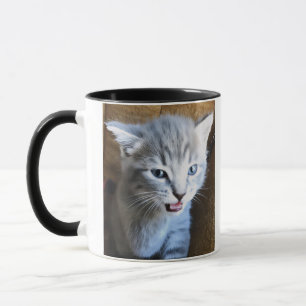 Crazy Cat Dude. Cat Humor. Cat Coffee Mug. Mug