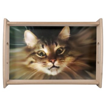 Crazy Cat Food Serving Tray by FXtions at Zazzle