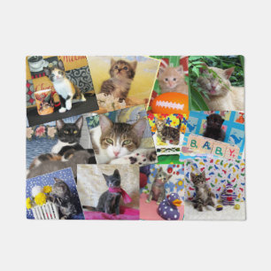 Crazy Cat Lady Doormat (18 X 24)