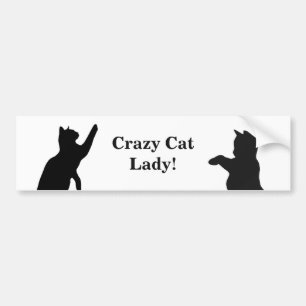 CRAZY CAT LADY Fun Quote for Cat Lovers Bumper Sticker