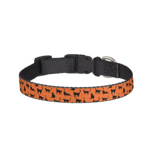 Crazy Cat Lady Halloween Orange and Black Pet Collar