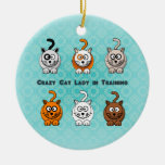 Crazy Cat Lady In Training Ornament at Zazzle