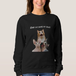 Crazy Cat Lady Man Tees One Cat Short Of Crazy