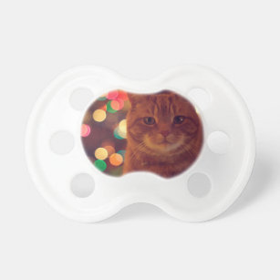 kitten pacifier