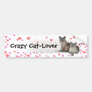 Crazy Cat-Lover Bumper Sticker