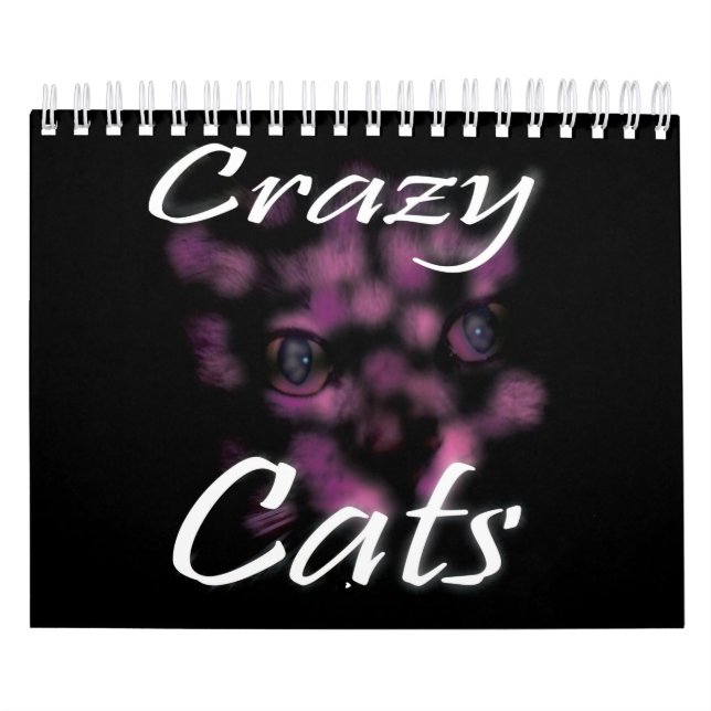 Crazy Cats And Kittens, Calendar (Cover)