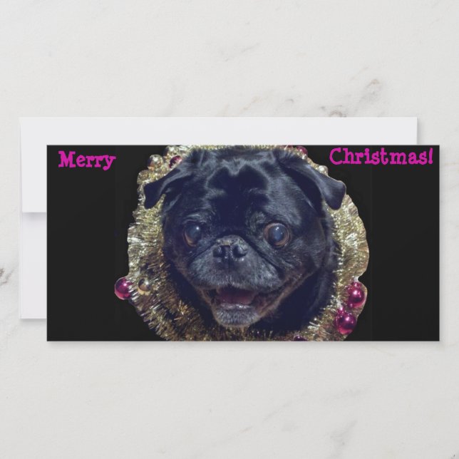 Crazy Christmas Pug photo card (Front)