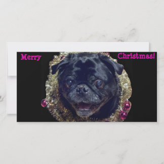 Crazy Christmas Pug photo card