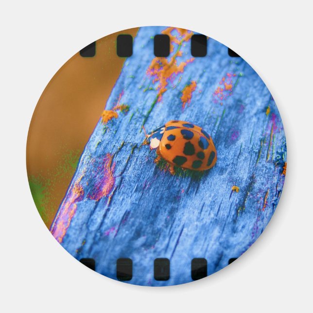 Crazy Color Bug Magnet (Front)