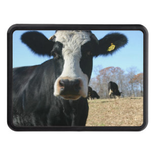 Crazy Cow Hitch Cover