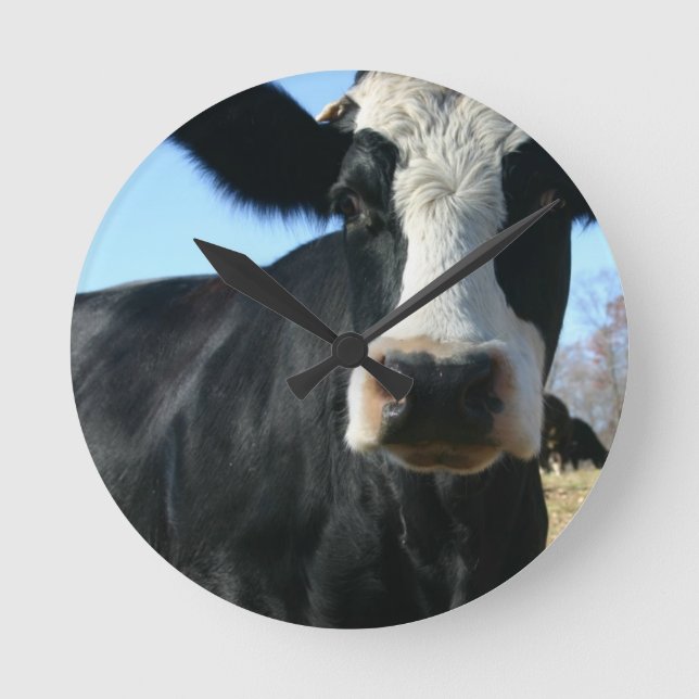 Crazy Cow Round Clock (Front)