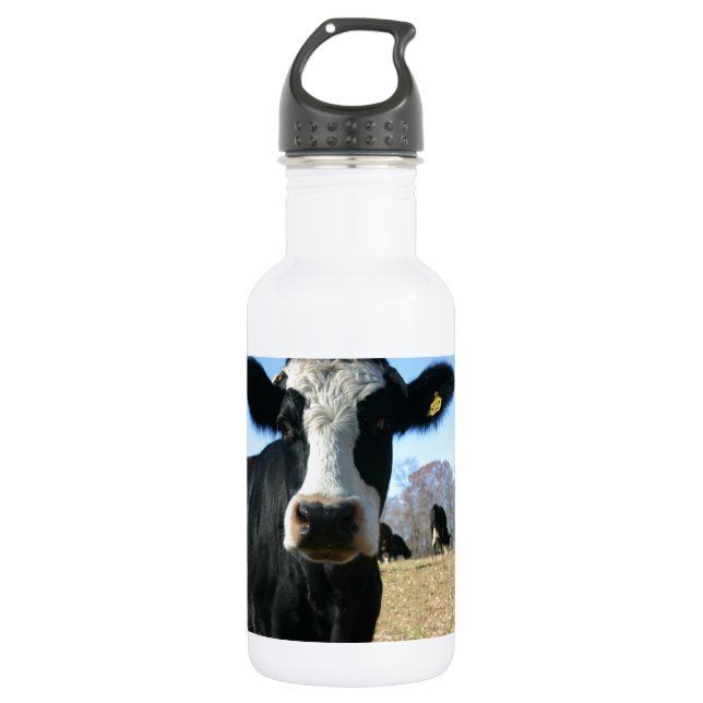 Crazy Cow Water Bottle (Front)