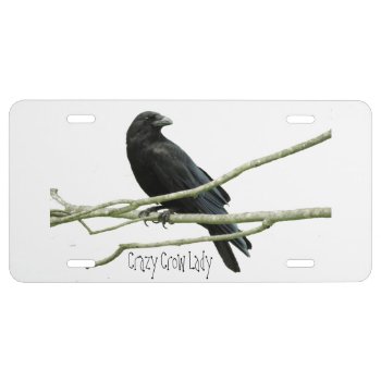 Crazy Crow Lady License Place License Plate by Crows_Eye at Zazzle
