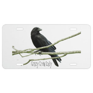 Crazy Crow Lady License Place Plate