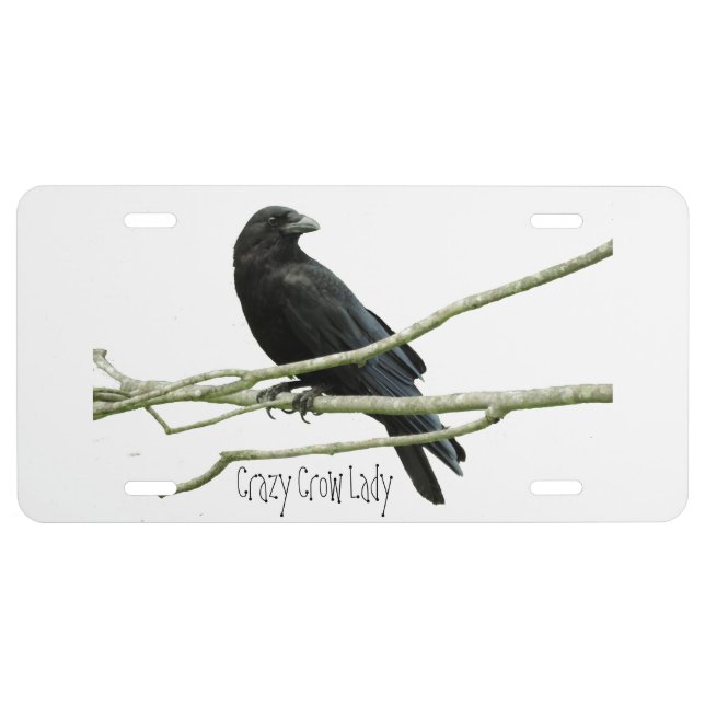 Crazy Crow Lady License Place Plate (Front)