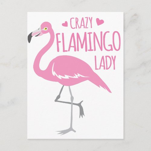 Crazy Flamingo lady Postcard