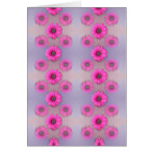 Crazy for Daisy (Front)