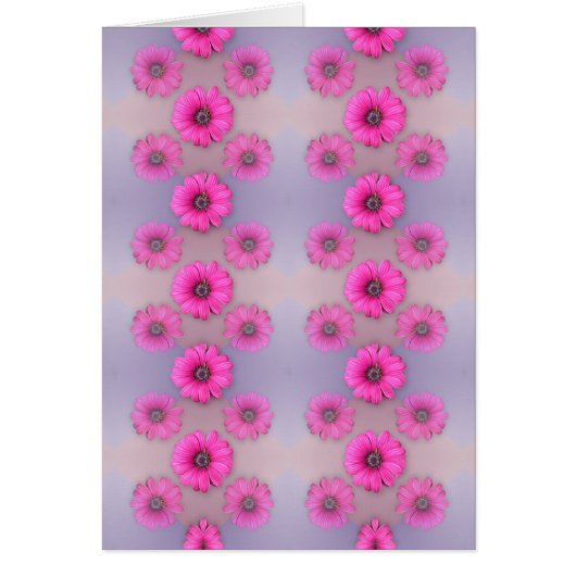 Crazy for Daisy Cards (Front)