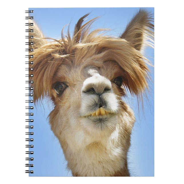Crazy Hair Alpaca Notebook (Front)