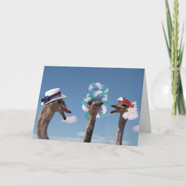 Crazy Hat Day at the Races Card (Front)