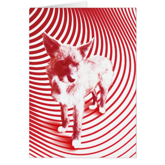 crazy hazie cards (Front)