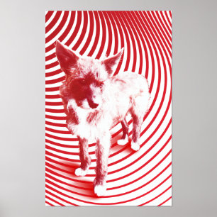 crazy hazie poster