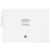 Crazy Hill Tempest (Back Horizontal)