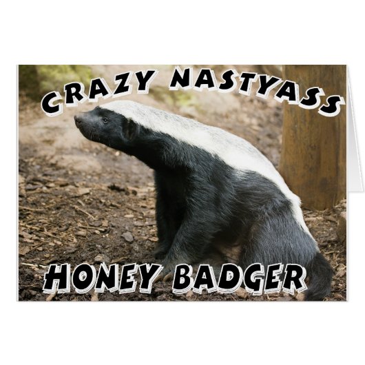 crazy honey badger cards (Front Horizontal)