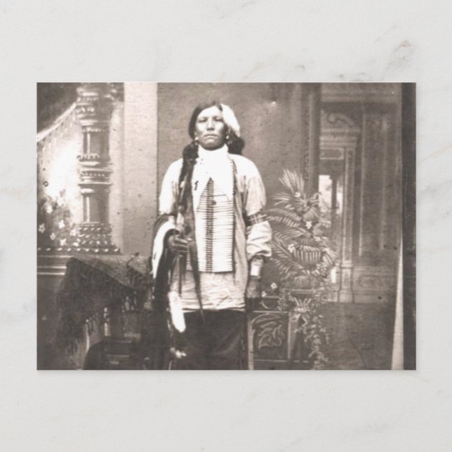 Crazy Horse Portrait Postcard (Front)