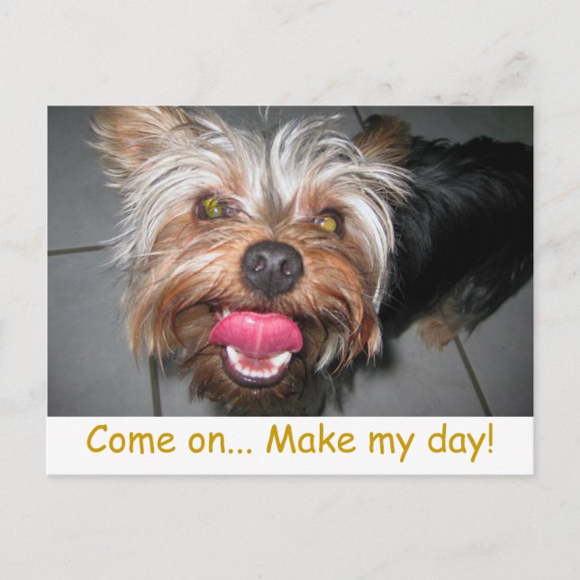 Crazy Jasper ~ Postcard (Front)