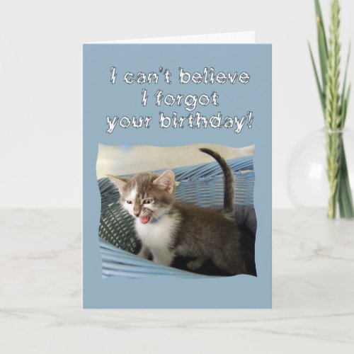Crazy Kitten Belated Birthday Card