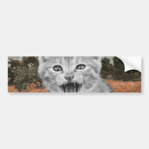 Crazy Kitties Having Fun Surrealistic Illustration Bumper Sticker