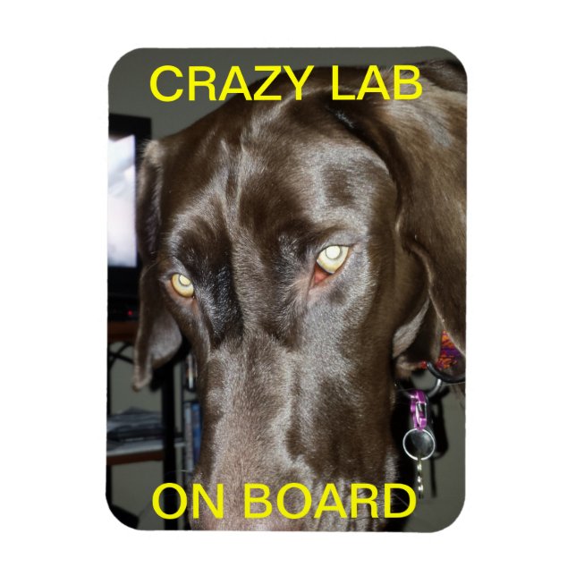Crazy Lab On Board Magnet (Vertical)