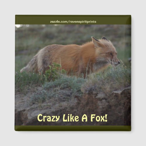 Crazy Like A Fox Animal Wildlife Fun Magnet