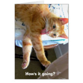 Crazy orange cat card (Front)