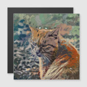 Crazy Paint - Cat 2 (Front/Back)