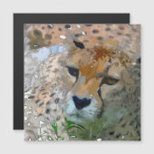 Crazy Paint - Cheetah (Front/Back)