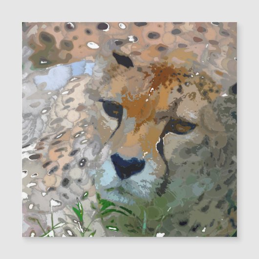Crazy Paint - Cheetah (Front)